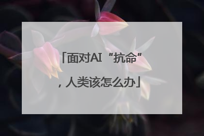 面对AI“抗命”，人类该怎么办