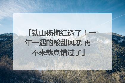 铁山杨梅红透了！一年一遇的酸甜风暴 再不来就真错过了