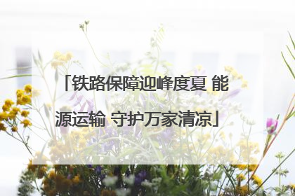 铁路保障迎峰度夏 能源运输 守护万家清凉