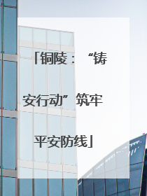铜陵：“铸安行动”筑牢平安防线