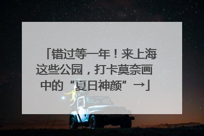 错过等一年！来上海这些公园，打卡莫奈画中的“夏日神颜”→