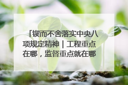 锲而不舍落实中央八项规定精神｜工程重点在哪，监督重点就在哪——广西深化政治监督护航平陆运河建设