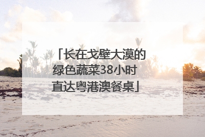 长在戈壁大漠的绿色蔬菜38小时直达粤港澳餐桌