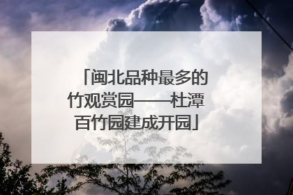 闽北品种最多的竹观赏园——杜潭百竹园建成开园