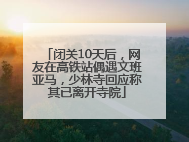 闭关10天后，网友在高铁站偶遇文班亚马，少林寺回应称其已离开寺院