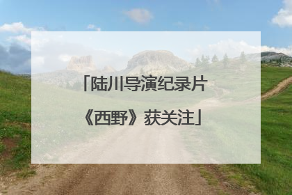 陆川导演纪录片《西野》获关注
