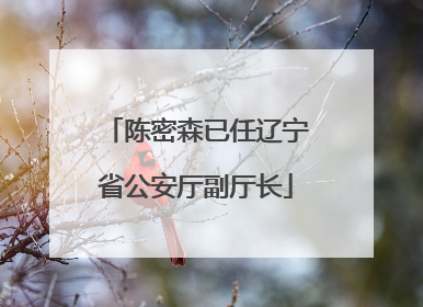 陈密森已任辽宁省公安厅副厅长