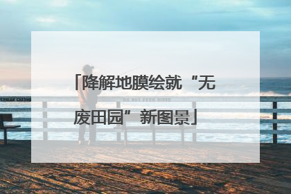 降解地膜绘就“无废田园”新图景
