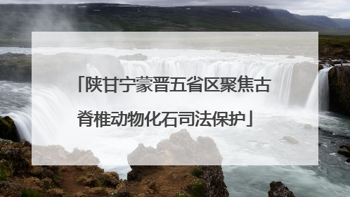 陕甘宁蒙晋五省区聚焦古脊椎动物化石司法保护