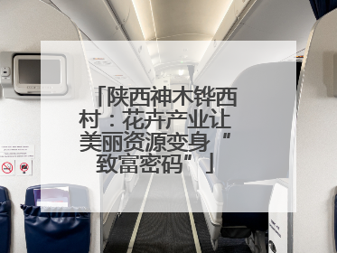 陕西神木铧西村：花卉产业让美丽资源变身“致富密码”
