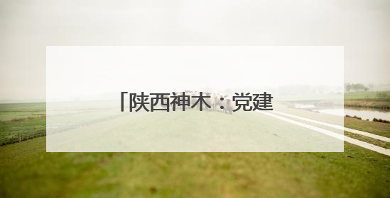 陕西神木：党建引领产业兴 乡村振兴谱新篇