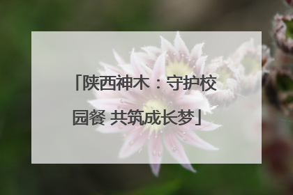 陕西神木：守护校园餐 共筑成长梦
