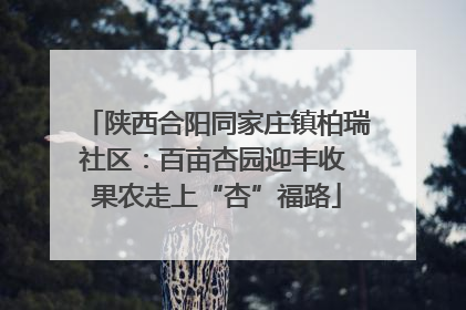 陕西合阳同家庄镇柏瑞社区：百亩杏园迎丰收 果农走上“杏”福路