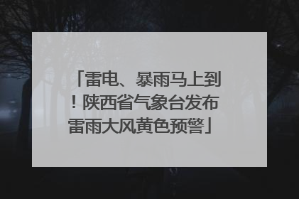 雷电、暴雨马上到！陕西省气象台发布雷雨大风黄色预警