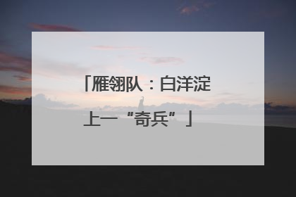 雁翎队：白洋淀上一“奇兵”