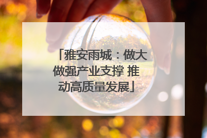 雅安雨城：做大做强产业支撑 推动高质量发展