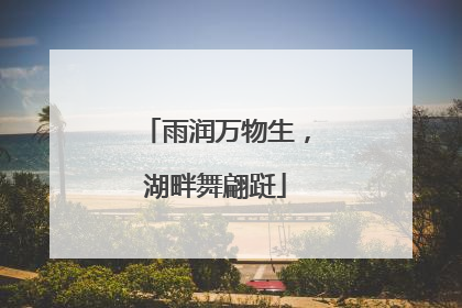 雨润万物生，湖畔舞翩跹