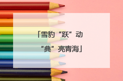 雪豹“跃”动 “典”亮青海