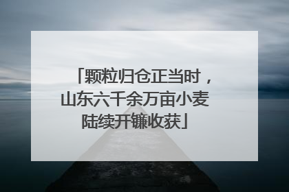 颗粒归仓正当时，山东六千余万亩小麦陆续开镰收获