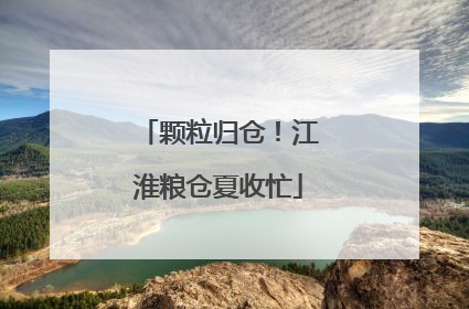 颗粒归仓！江淮粮仓夏收忙