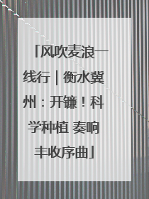 风吹麦浪一线行｜衡水冀州：开镰！科学种植 奏响丰收序曲