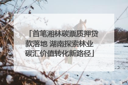 首笔湘林碳票质押贷款落地 湖南探索林业碳汇价值转化新路径