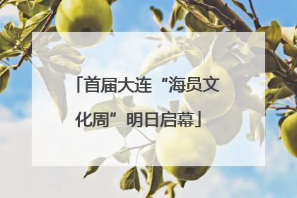 首届大连“海员文化周”明日启幕