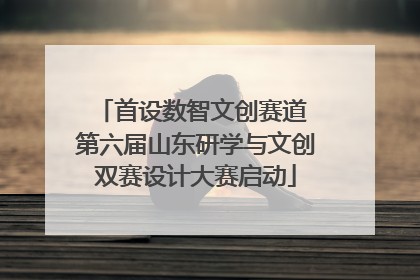 首设数智文创赛道 第六届山东研学与文创双赛设计大赛启动