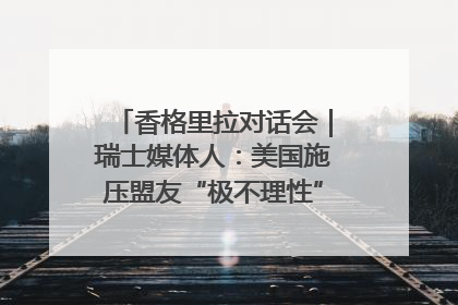 香格里拉对话会｜瑞士媒体人：美国施压盟友“极不理性” 欧洲国家无意与中国“脱钩断链”