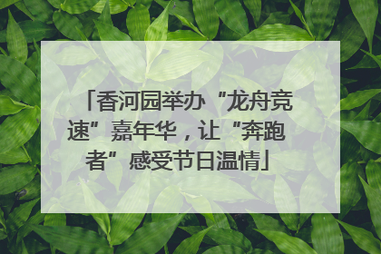 香河园举办“龙舟竞速”嘉年华，让“奔跑者”感受节日温情