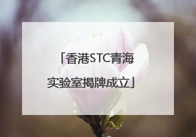 香港STC青海实验室揭牌成立
