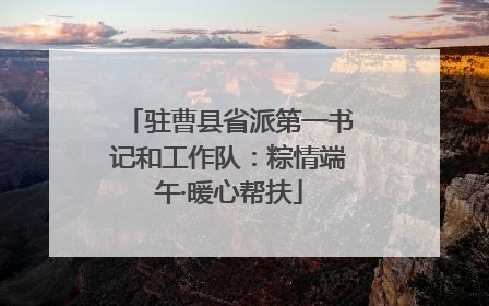 驻曹县省派第一书记和工作队：粽情端午·暖心帮扶