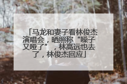 马龙和妻子看林俊杰演唱会，晒照称“嗓子又哑了”，林高远也去了，林俊杰回应