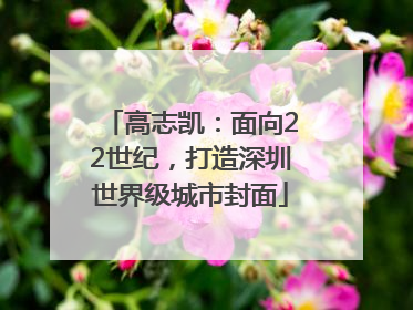 高志凯：面向22世纪，打造深圳世界级城市封面