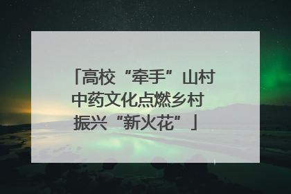 高校“牵手”山村 中药文化点燃乡村振兴“新火花”