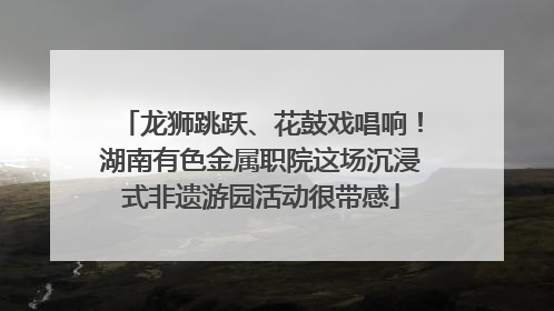 龙狮跳跃、花鼓戏唱响！湖南有色金属职院这场沉浸式非遗游园活动很带感