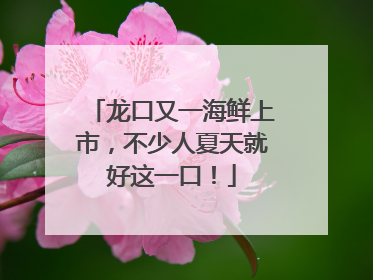 龙口又一海鲜上市，不少人夏天就好这一口！