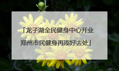 龙子湖全民健身中心开业 郑州市民健身再添好去处