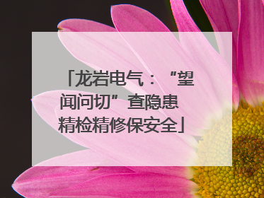 龙岩电气：“望闻问切”查隐患 精检精修保安全
