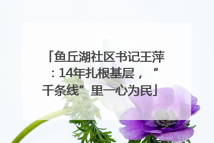 鱼丘湖社区书记王萍：14年扎根基层，“千条线”里一心为民