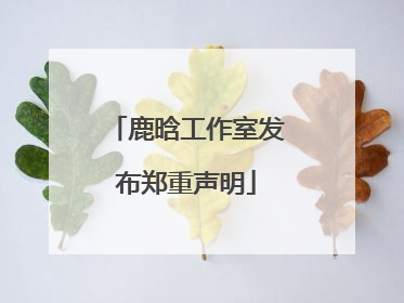 鹿晗工作室发布郑重声明