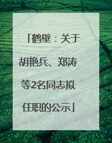 鹤壁：关于胡艳兵、郑涛等2名同志拟任职的公示