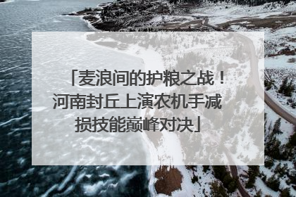 麦浪间的护粮之战！河南封丘上演农机手减损技能巅峰对决