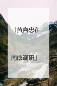 黄喜忠在南康调研