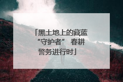 黑土地上的藏蓝“守护者” 春耕警务进行时