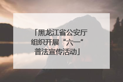 黑龙江省公安厅组织开展“六一”普法宣传活动