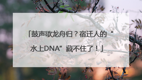 鼓声歇龙舟归？宿迁人的“水上DNA”藏不住了！