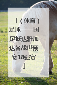 （体育）足球——国足抵达雅加达备战世预赛18强赛