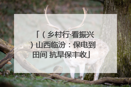 （乡村行·看振兴）山西临汾：保电到田间 抗旱保丰收