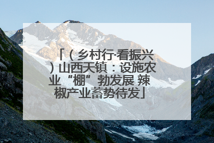 （乡村行·看振兴）山西天镇：设施农业“棚”勃发展 辣椒产业蓄势待发